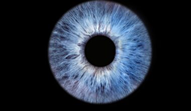 Human eyes can be traced back to an ancient ‘cyclops’ ancestor