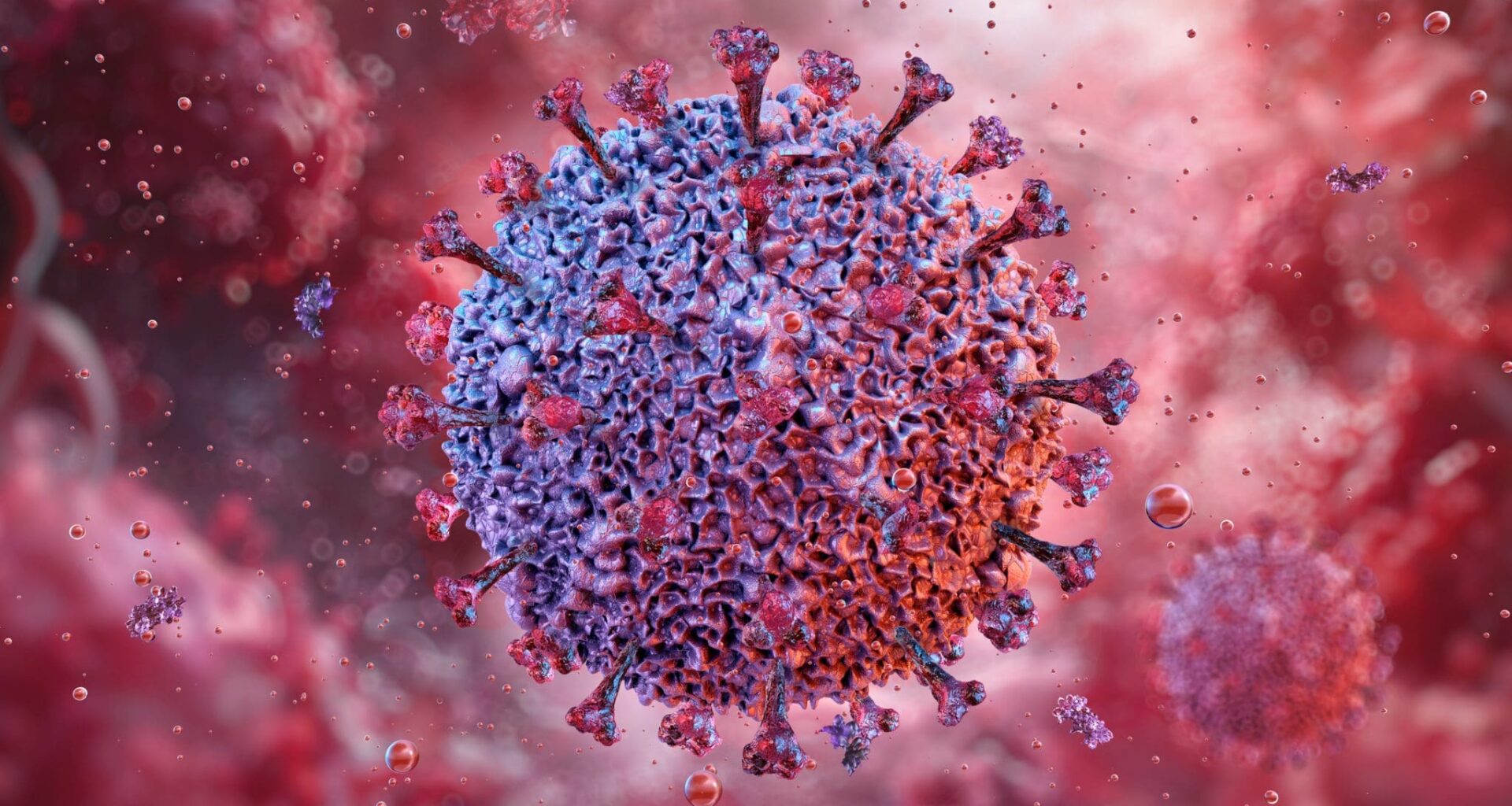 Epstein-Barr DNA herpes virus infecting a B lymphocyte, electron micrograph. EBV, herpesvirus 4 cell, can cause infectious mononucleosis disease. Human health, virology science medical 3D illustration