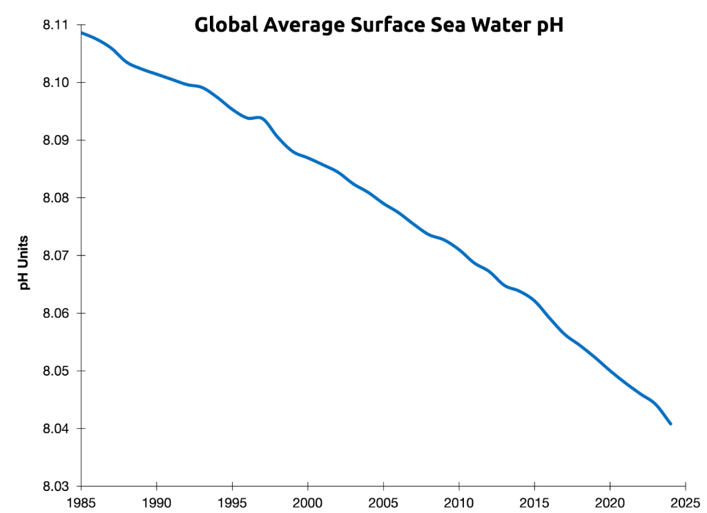 A graph of Ocean pH that shows it has dramatically declined over time