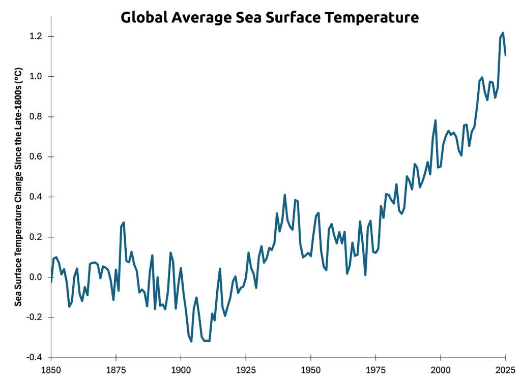 A graph of sea-surface temperature that shows it has dramatically increased in recent decades.