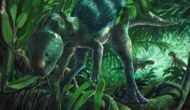 Tiny New Species of Herbivorous Dinosaur Unearthed in Spain