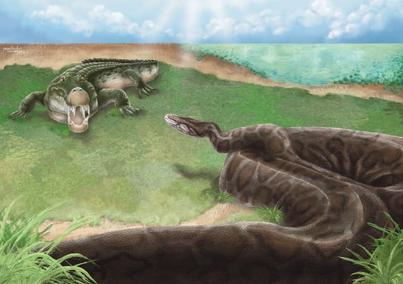 An artistic reconstruction of the possible ecological interaction between Python and Toyotamaphimeia in the Middle Pleistocene of Taiwan. Image credit: Lab of Evolution and Diversity of Fossil Vertebrates, National Taiwan University / Cheng-Han Sun.