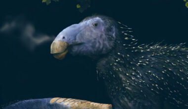 Paleontologists Unearth New Dinosaur Species with Never-Before-Seen Skin Structures