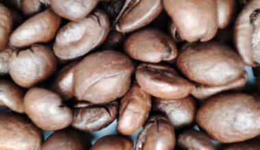 Zhang et al. determined that moderate caffeinated coffee and tea intake can lower dementia risk. Image credit: Sci.News.