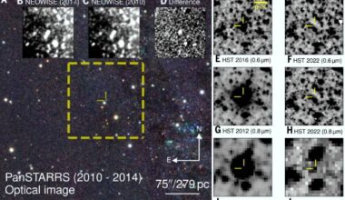 Location and disappearance of M31-2014-DS1. Image credit: De et al., doi: 10.1126/science.adt4853.