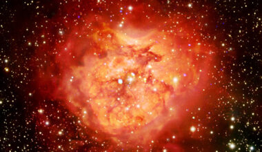 This composite image shows the heart-shaped Cocoon Nebula: X-ray data from Chandra reveal a cluster of new stars that are just poking through the stunning nebula; optical light data from astrophotographers Michael Adler and Barry Wilson, as well as infrared light data from WISE mission are also included. Image credit: NASA / CXC / SAO / JPL / Caltech / WISE / M. Adler / B. Wilson / L. Frattare.
