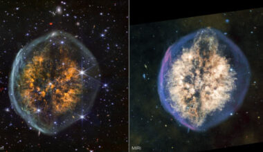 These Webb images show PMR 1, a planetary nebula some 5,000 light-years away in the constellation of Vela. Image credit: NASA / ESA / CSA / STScI / Joseph DePasquale, STScI.