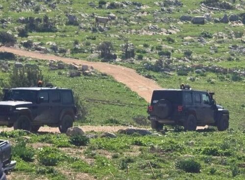 Israeli Forces Abduct Many Palestinians Across West Bank |