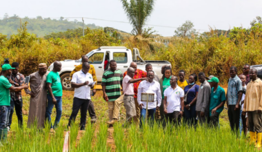 The 10 African countries where food prices will rise the most in 2026