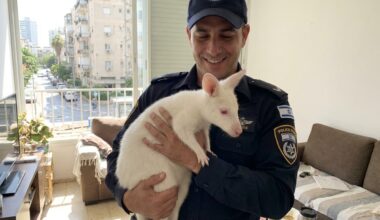 The Blogs: Who Knew? | Mort Laitner