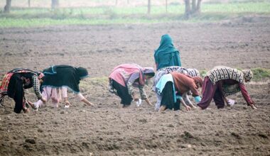 How many Pakistanis perform informal work?