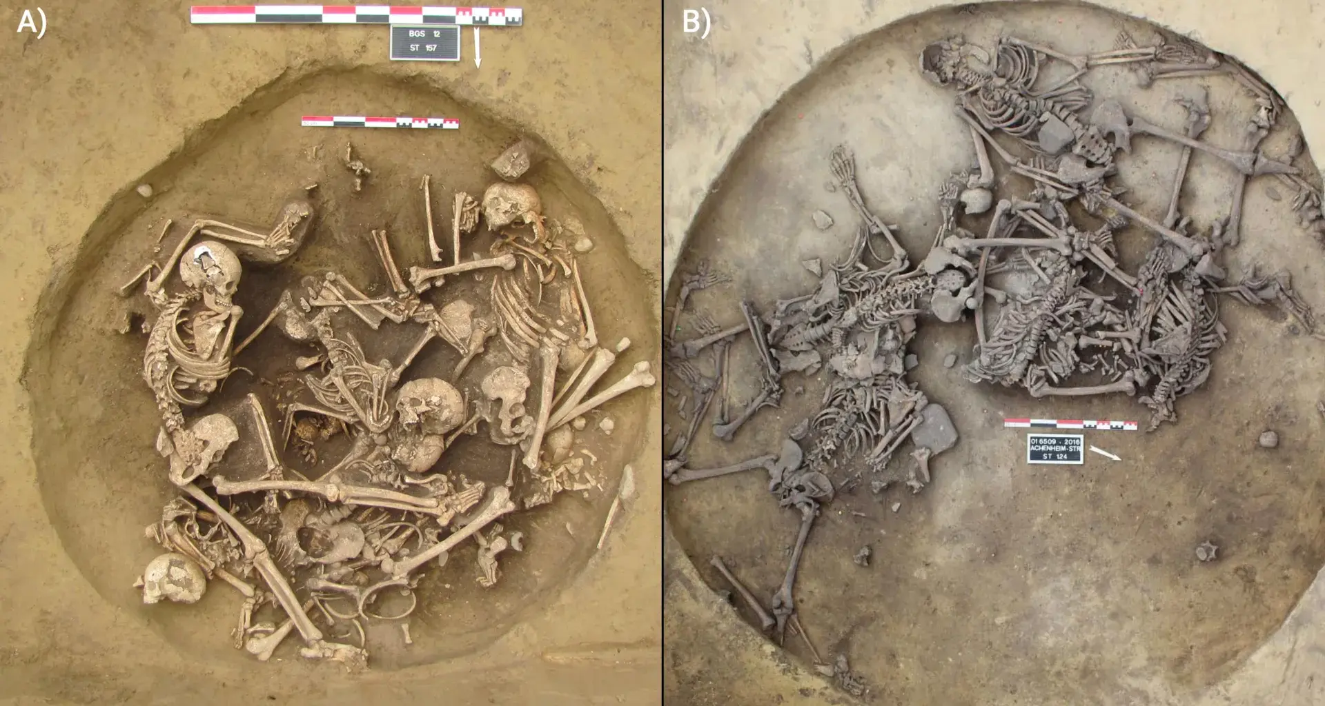 Ancient bones reveal chilling victory rituals after Europe’s earliest wars