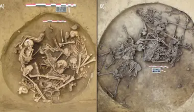 Ancient bones reveal chilling victory rituals after Europe’s earliest wars