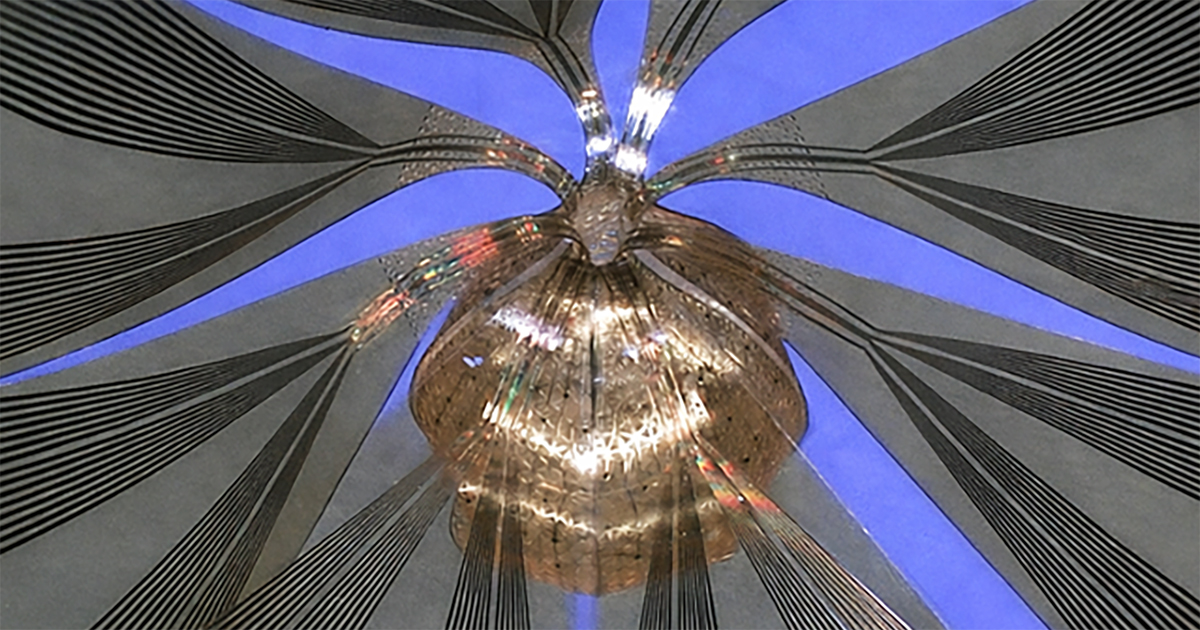 The soft, 3D electronic framework wraps around an organoid like a breathable, high-tech mesh. Rather than sampling select regions, it delivers near-complete, shape-conforming coverage with hundreds of miniaturized electrodes.