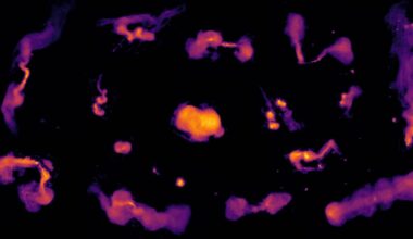 A selection of radio structures powered by supermassive black holes. Credit: Maya Horton/LOFAR Survey Collaboration.