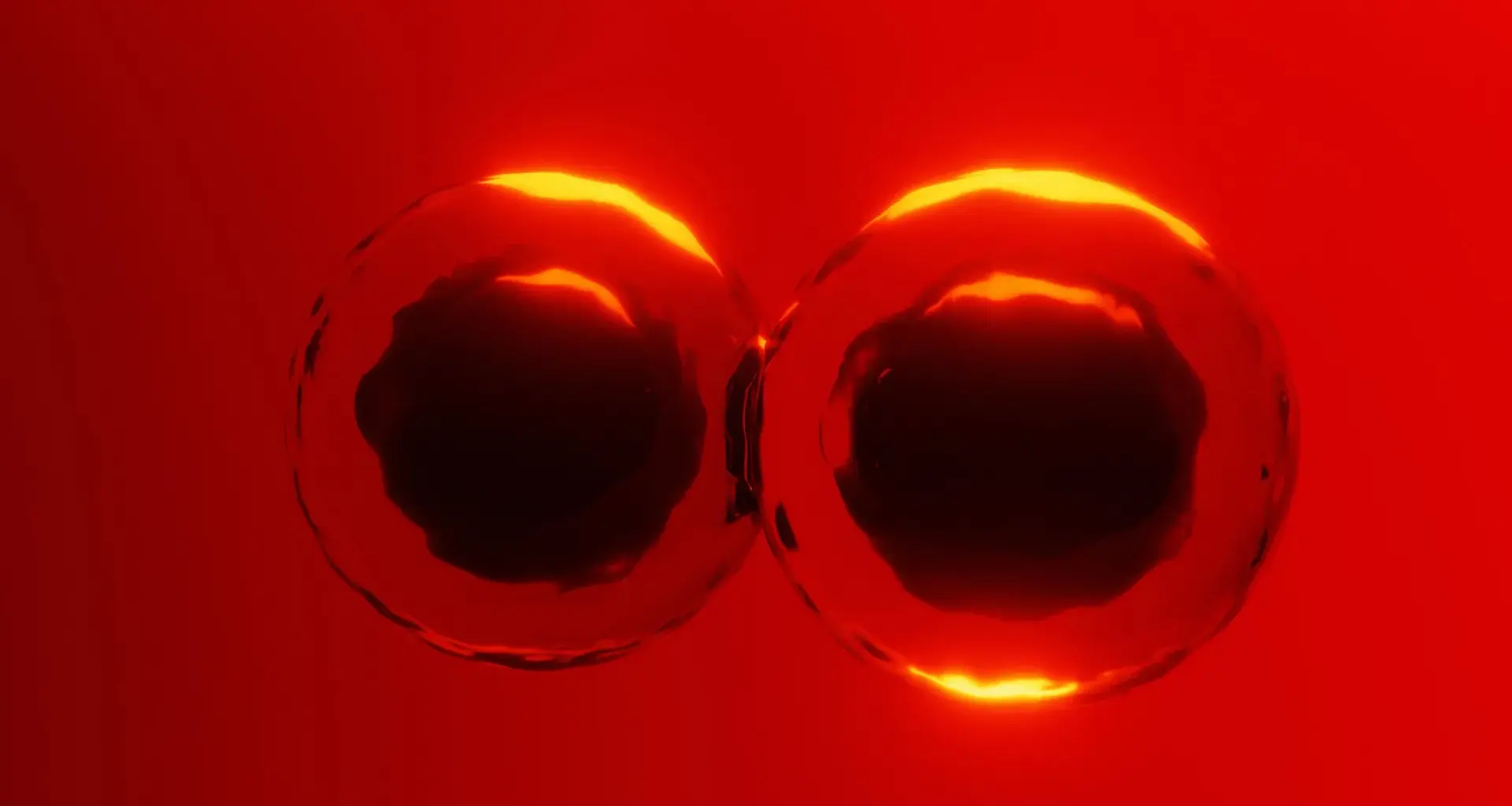 Textbooks challenged by new discovery about how cells divide