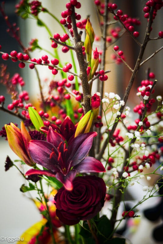 A vibrant bouquet featuring deep red lilies, a red rose, orange lilies, white baby's breath, and branches with clusters of small red berries.