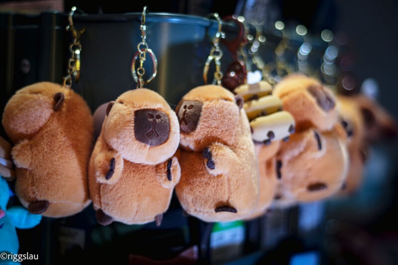 Several plush keychains shaped like cute, chubby capybaras hang in a row, each with soft brown fur and small facial features, displayed on hooks against a dark background.