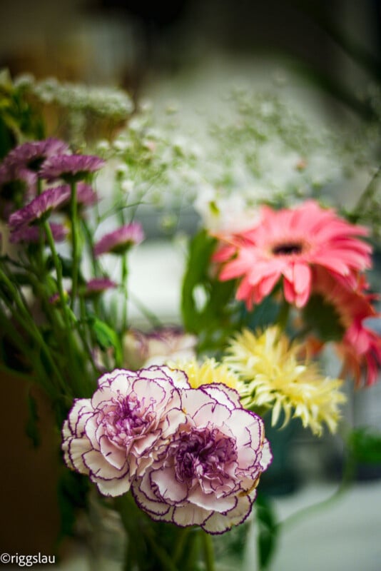 A close-up of a colorful flower bouquet featuring pink carnations with purple edges in the foreground and blurred pink, yellow, and white flowers in the background.