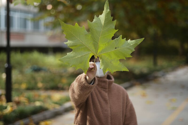 A person in a brown coat holds a large green leaf in front of their face on an outdoor path, partially obscuring their face. Trees and a building are visible in the background.