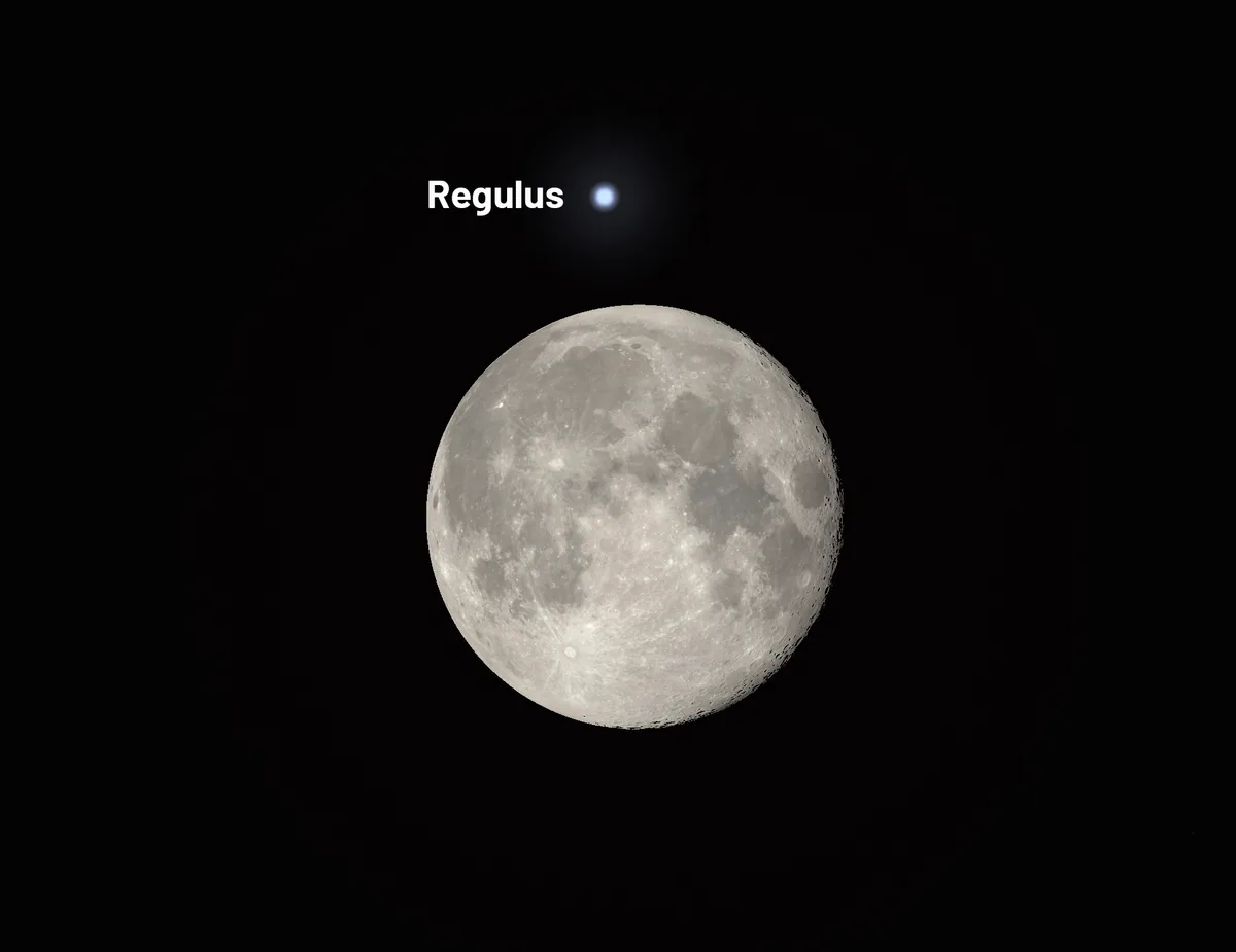 Depending on your location, you'll either see a lunar occultation of Regulus, or a close encounter between Regulus and the full Moon. Credit: Stellarium
