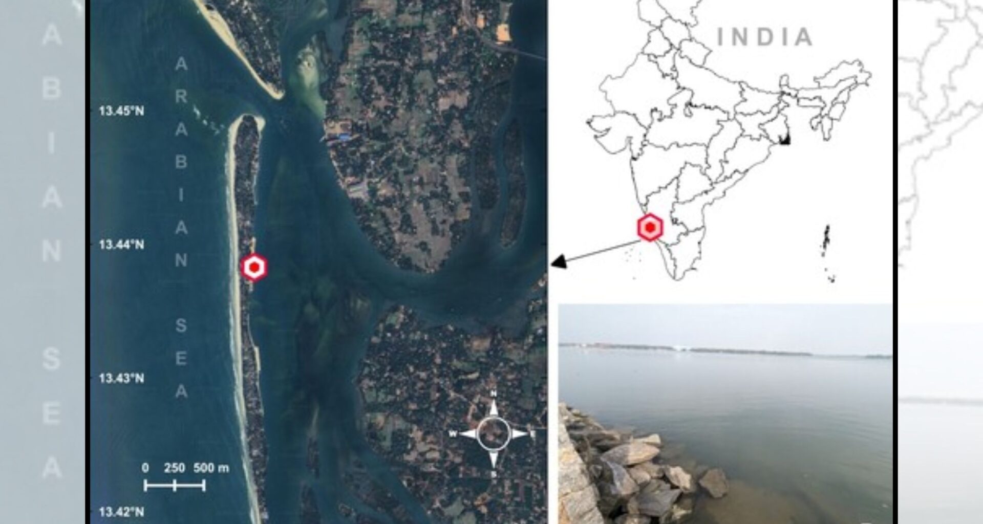 Fossil crustaceans reveal ancient routes across the North Pacific