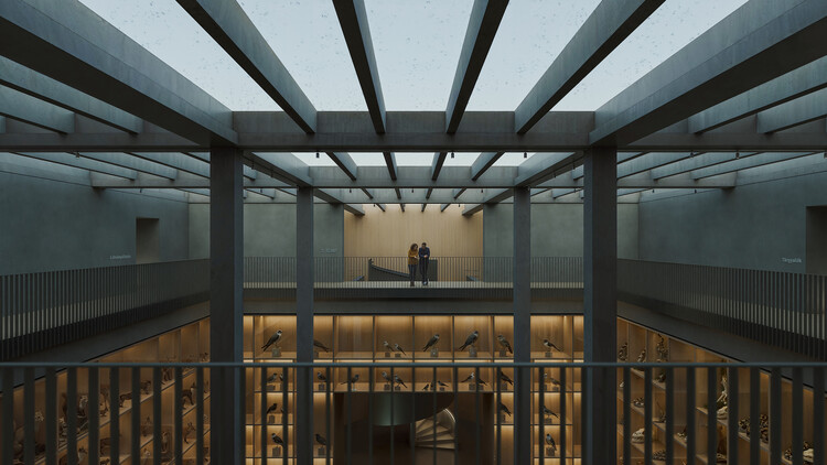 Systems’ Hack and RAMSA’s Palmer Memorial Institute Plan: This Week’s Review - Image 9 of 11