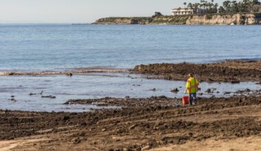 The Removing and Sequestering Carbon Unleashed in the Environment and Oceans Act