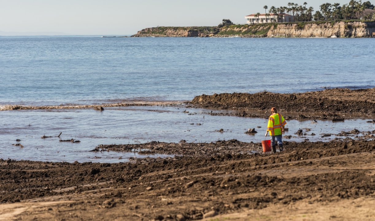 The Removing and Sequestering Carbon Unleashed in the Environment and Oceans Act