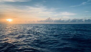 The Southern Indian Ocean Is Losing Its Saltiness