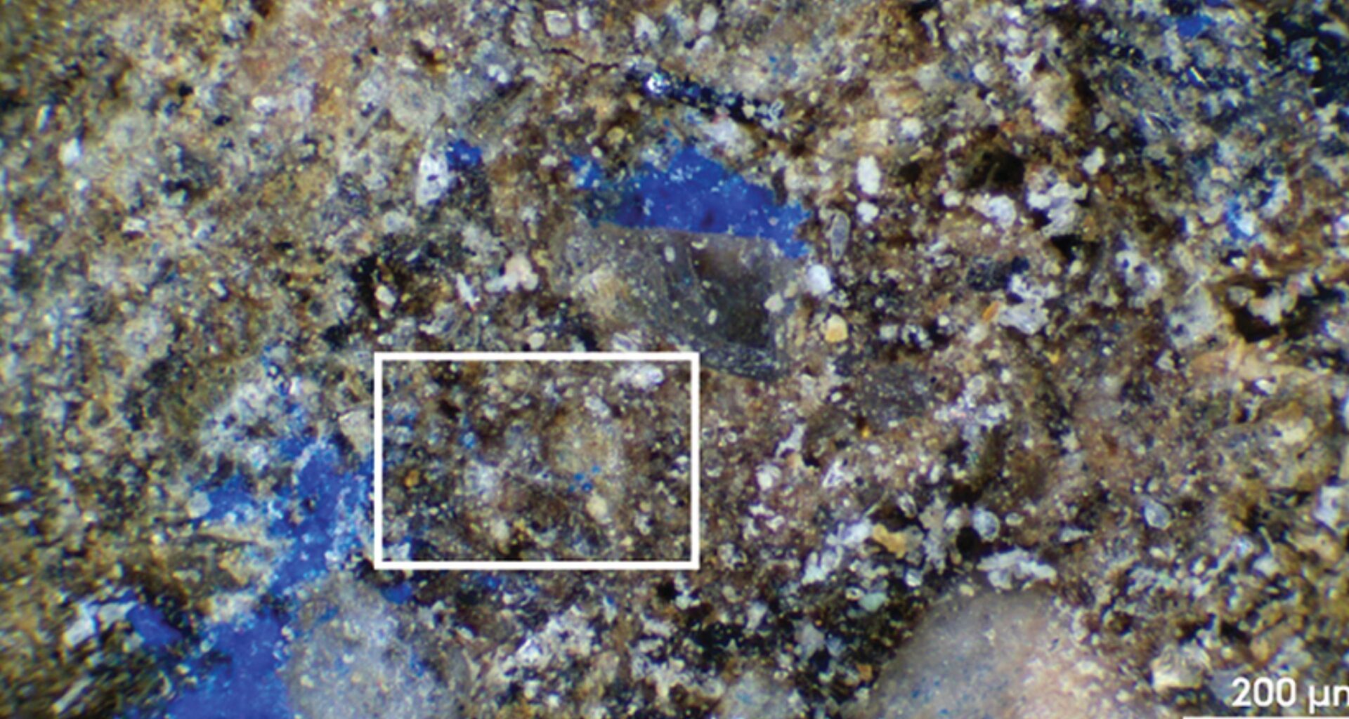 Forgotten museum object holds Europe’s oldest blue pigment