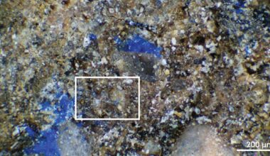 Forgotten museum object holds Europe’s oldest blue pigment