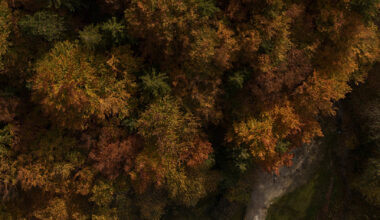 farmhouse and modern extension face off in austrian hillscape