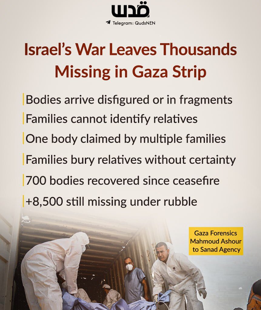 Gaza Sunday: Israel Kills Six Palestinians Amid Continued Violations |