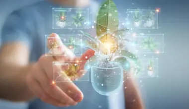 This unexpected plant discovery could change how drugs are made