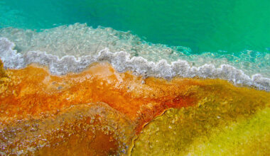 Oxygen-breathing life forms arrived on Earth sooner than believed