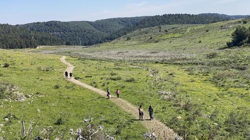 Israel swelters through its toastiest February day in decades