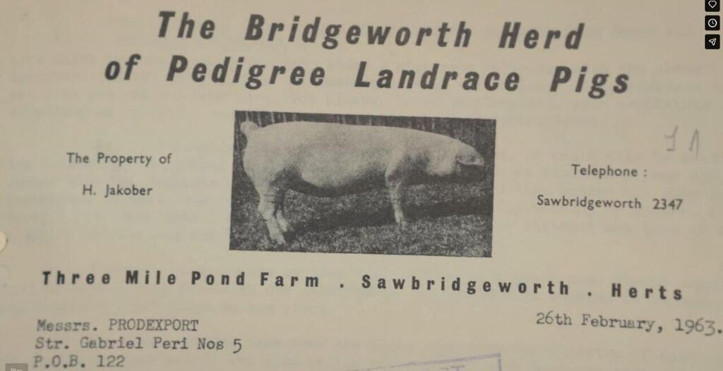 אחד המסמכים בארכיון