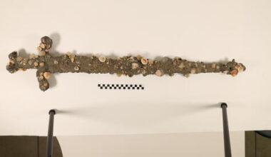 12th-century Crusader sword found off northern Israel beach in rare seabed discovery