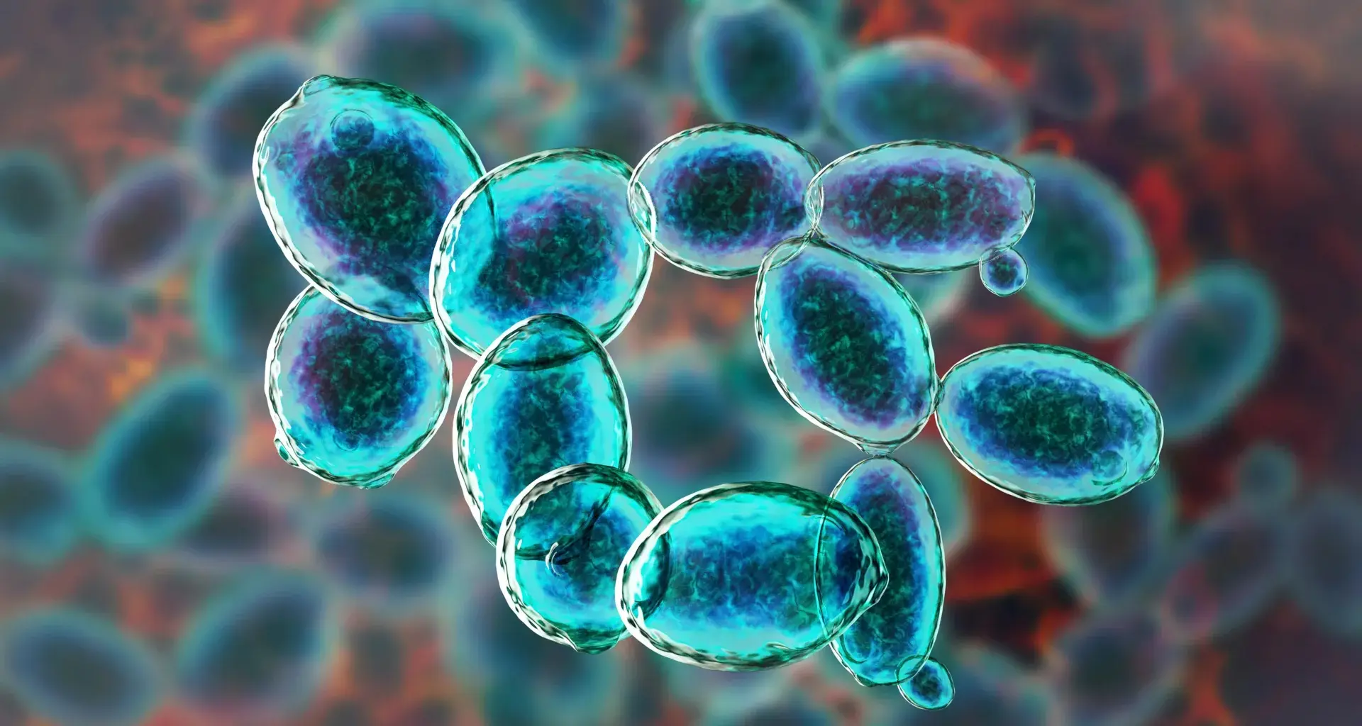 This tiny organism refused to die under Mars-like conditions