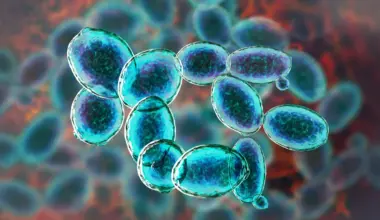 This tiny organism refused to die under Mars-like conditions