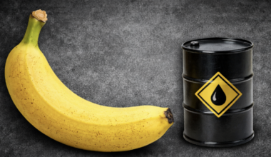 Petroleum-Based Hydrocarbons: Molecules of Life