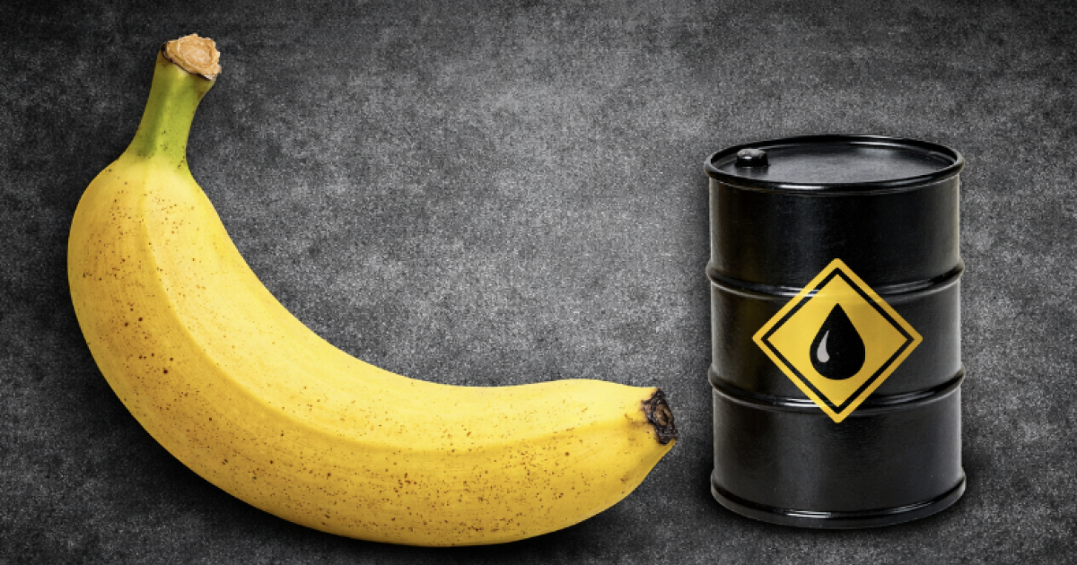 Petroleum-Based Hydrocarbons: Molecules of Life