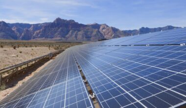Desert plants can thrive when sharing land with large solar arrays, with even rare plants thriving alongside the panels.