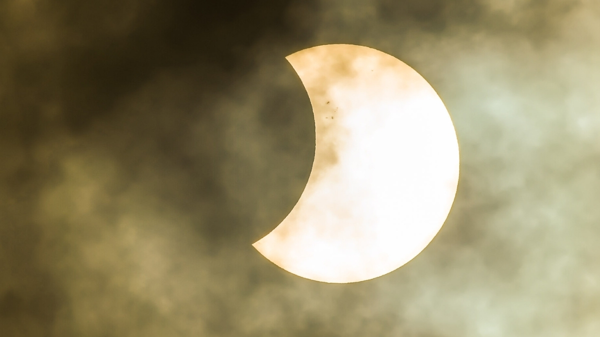 Forest's Strange Response to an Eclipse May Have a More Mundane Explanation : ScienceAlert