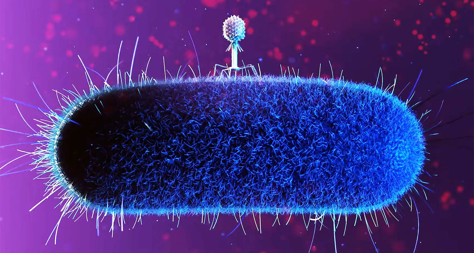 Mutants called 'space phages' could solve the global antibiotic crisis