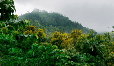Spiky, Big Eyed Creature Discovered Clinging To Iranian Cliff Is A Completely New Species