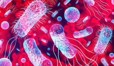 Scientists Just Found a Way to Destroy Deadly Superbugs by Targeting Hidden Sugar