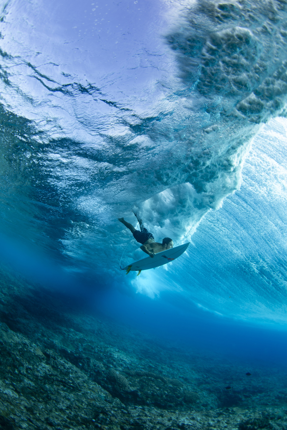 Winner, Best Single Image in Adventures & Experiences Portfolio. Frederico Figueiredo Cerdeira, “Cloudbreak Reef, Tavarua Island, Fiji.” 