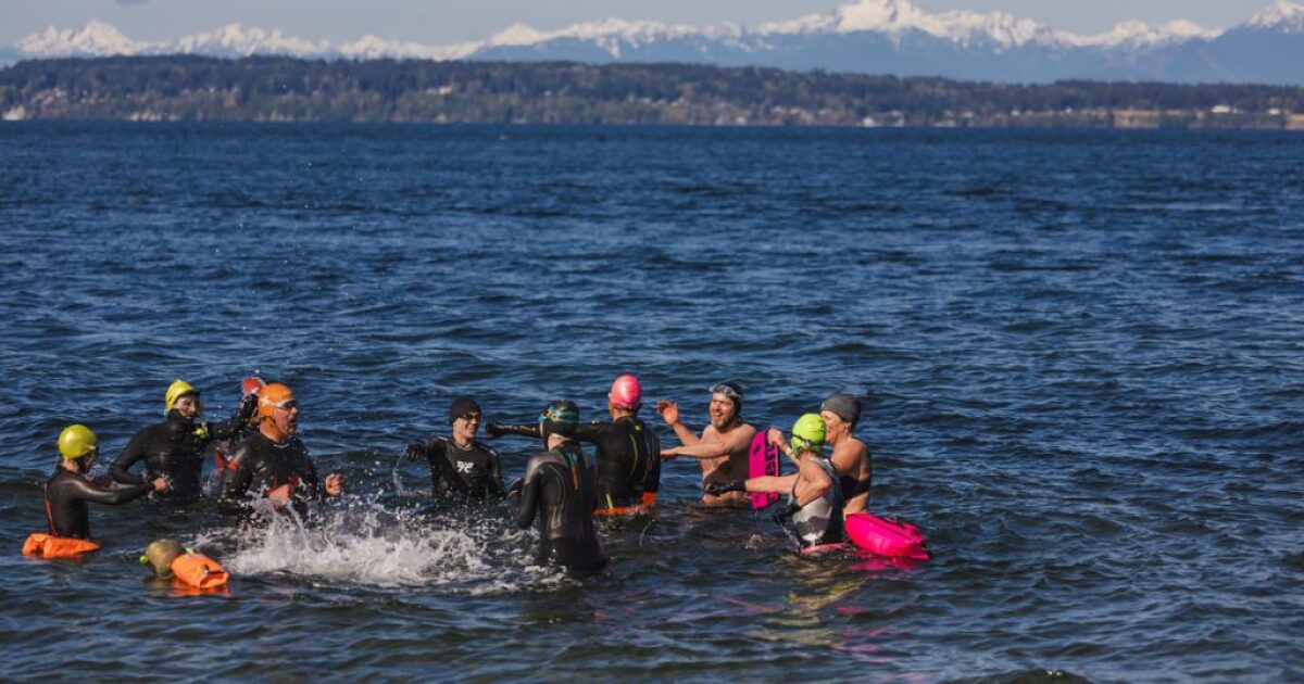 Seattle cold plungers dip in Puget Sound's frigid waters